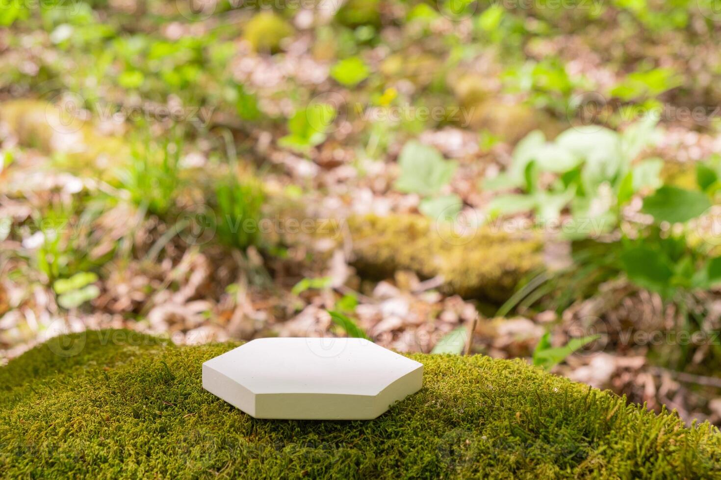 White product stand or podium among bright green foliage in a tranquil outdoor setting photo