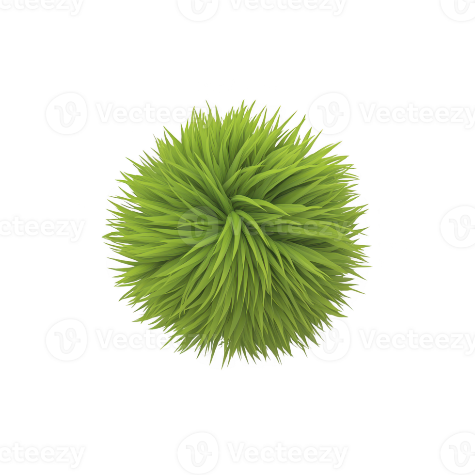 A vibrant green spherical object resembling fluffy ball of grass, isolated on transparency background, showcasing natural and fresh appearance png