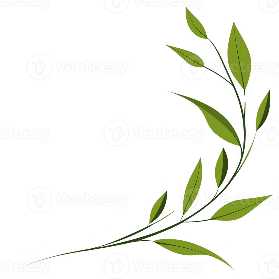 A simple illustration of green leafy branch with multiple leaves extending from thin stems, creating natural and elegant design. leaves are varying size and shape, adding dynamic and organic feel to png