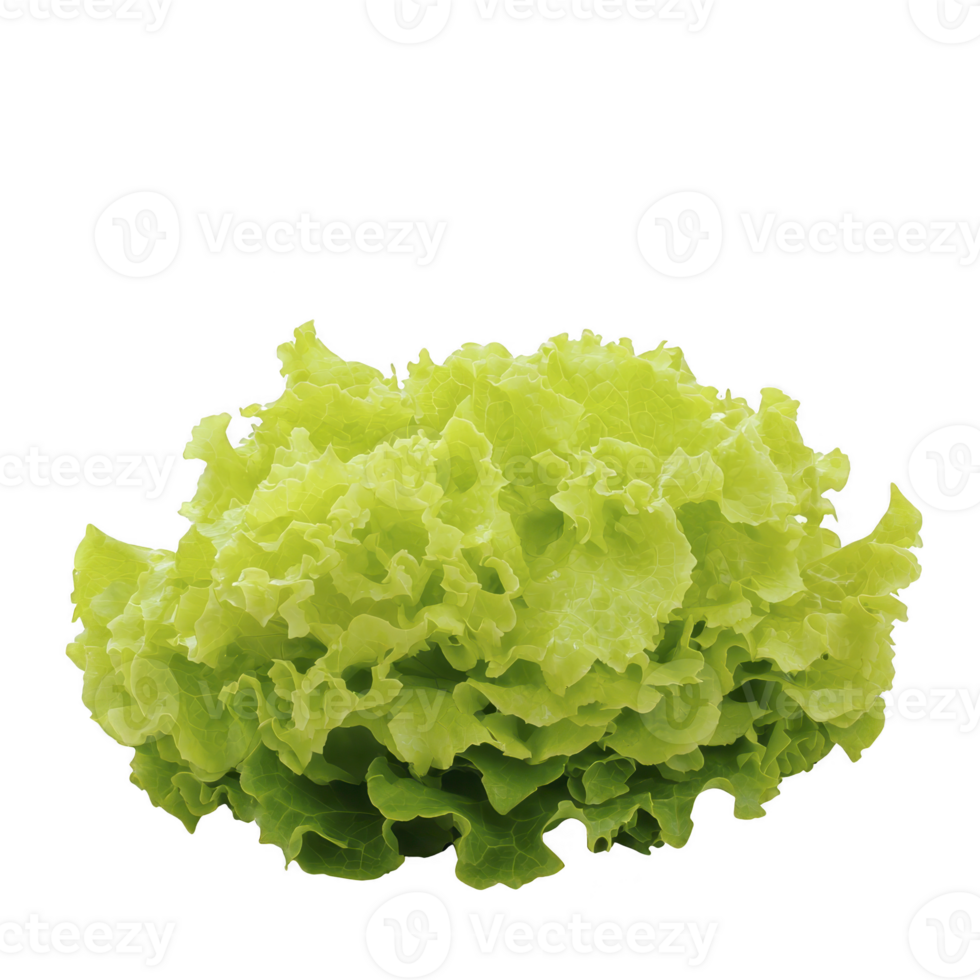 A fresh, vibrant green lettuce with curly leaves, perfect for salads and healthy meals. crisp texture and bright color make it appealing choice for nutritious dishes png