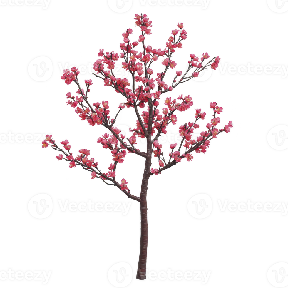 A vibrant cherry blossom tree with pink flowers in full bloom, showcasing delicate petals and slender branches. tree stands isolated against transparency background, highlighting its natural beauty png