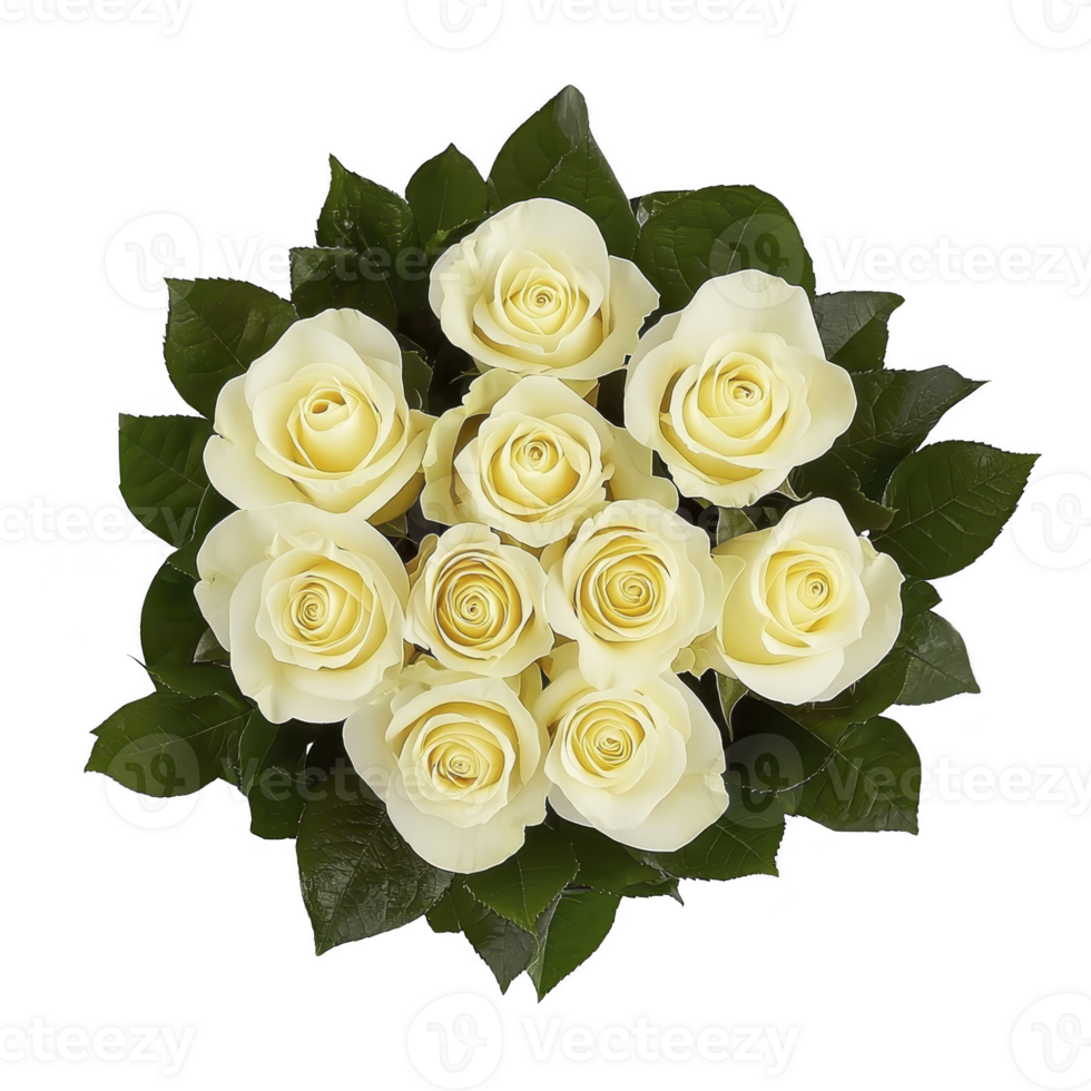 A bouquet of elegant cream roses arranged in circular pattern, surrounded by lush green leaves, creating harmonious and romantic floral display png