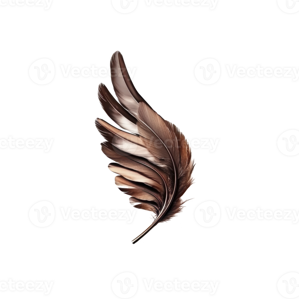 A single, elegant brown feather with glossy sheen is depicted against transparency background, showcasing intricate details and sense of lightness png