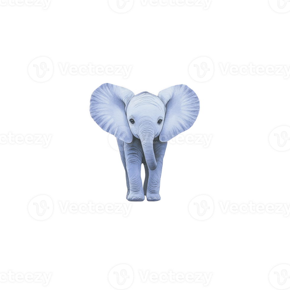 A cute, small blue elephant stands facing forward with large ears and gentle expression, set against plain background. whimsical color adds playful touch to image png