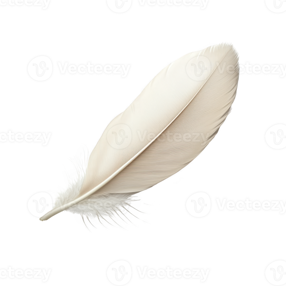A single, delicate white feather with soft, intricate details and gentle curve, symbolizing lightness and grace. feather texture is smooth and airy png