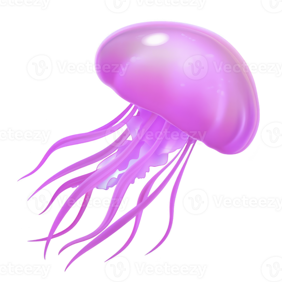 A vibrant pink jellyfish with long, flowing tentacles gracefully drifts through water, showcasing its translucent body and ethereal glow png