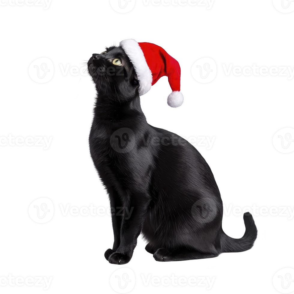A black cat wearing festive red Santa hat looks upward, creating charming holiday scene. cat sleek fur contrasts with bright hat, adding touch of whimsy png