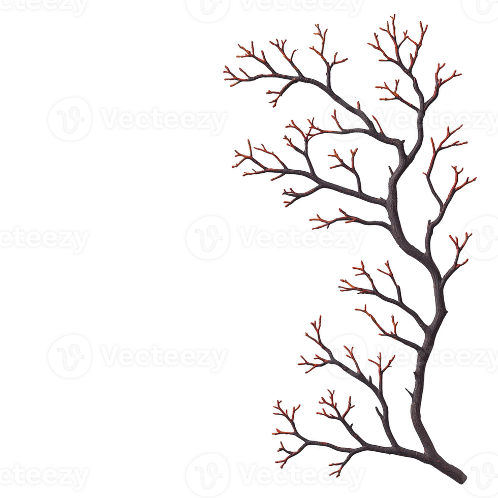 A bare tree branch with red buds against transparency background creates striking contrast, highlighting delicate beauty of nature transition. simplicity evokes sense of calm and anticipation png