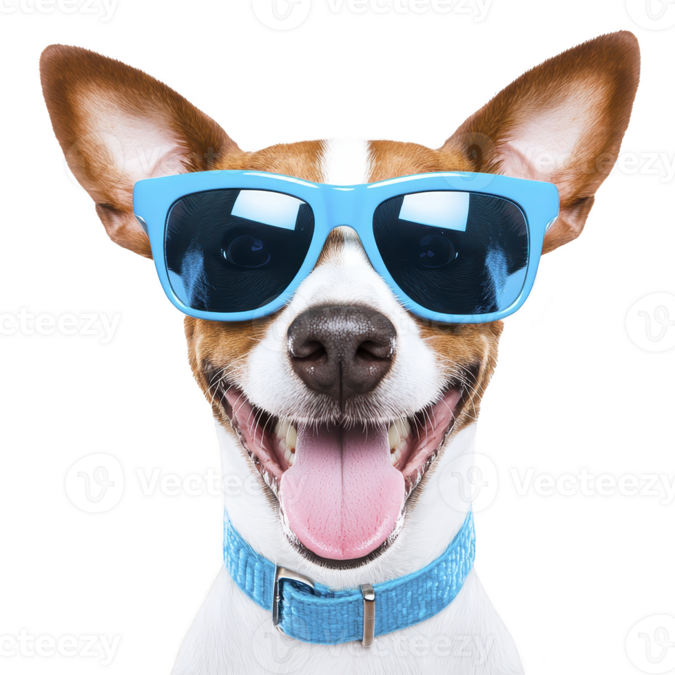 A happy dog wearing blue sunglasses and matching collar, showcasing playful and cheerful expression. dog ears are perked up, adding to its lively appearance png