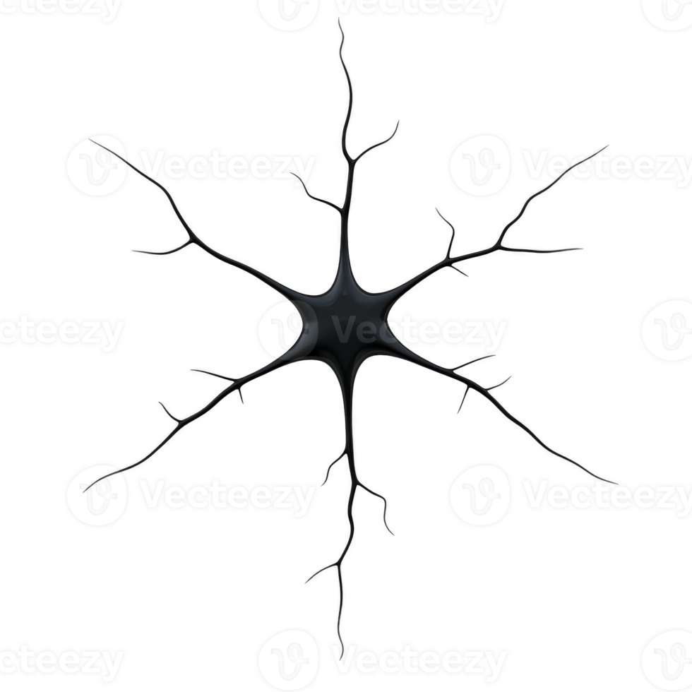 A detailed illustration of neuron with branching dendrites and central cell body, showcasing complexity of neural structures. image highlights intricate network of connections png