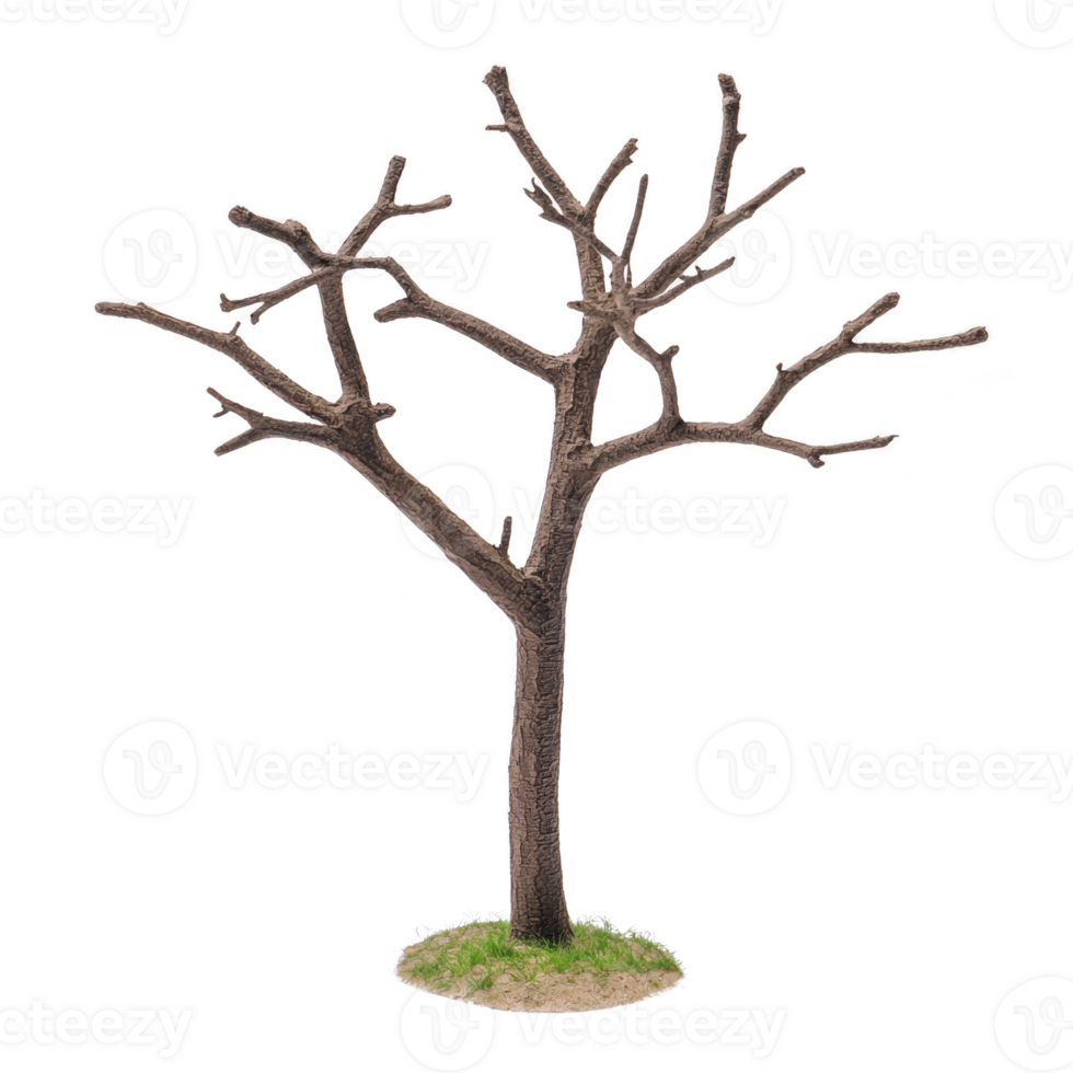 A leafless tree stands on small patch of grass, showcasing its bare branches against transparency background. simplicity and starkness evoke sense of calm and solitude png