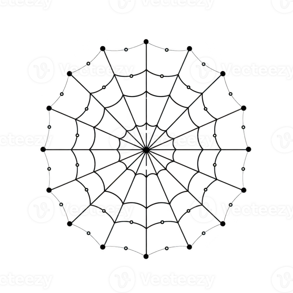 A detailed spider web with symmetrical design, showcasing intricate patterns and central focal point, symbolizing nature artistry and complexity png