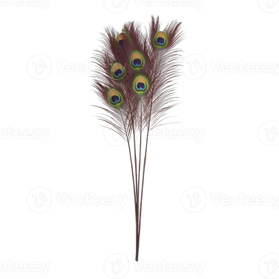 A vibrant bouquet of peacock feathers with iridescent eyespots creates striking display. natural elegance and vivid colors make it perfect for decoration or artistic inspiration png