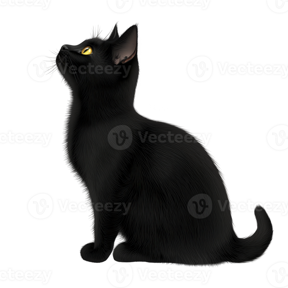 A black cat with glowing yellow eyes sits in profile, its fur sleek and ears perked, creating mysterious and elegant silhouette against plain background png