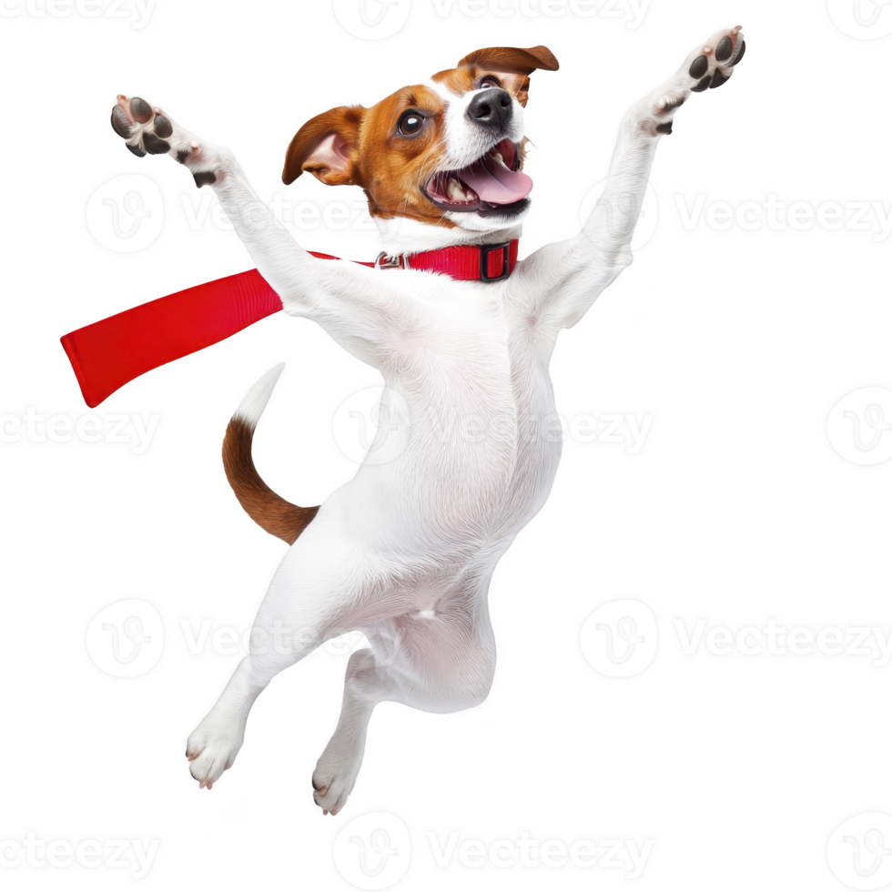 A joyful dog with red collar leaps into air, showcasing its playful and energetic nature against transparency background png
