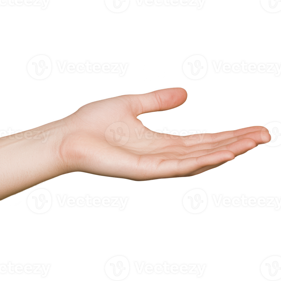 An open human hand is extended with palm facing up, suggesting gesture of offering or receiving. skin tone is light, and background is plain, emphasizing hand shape and position png