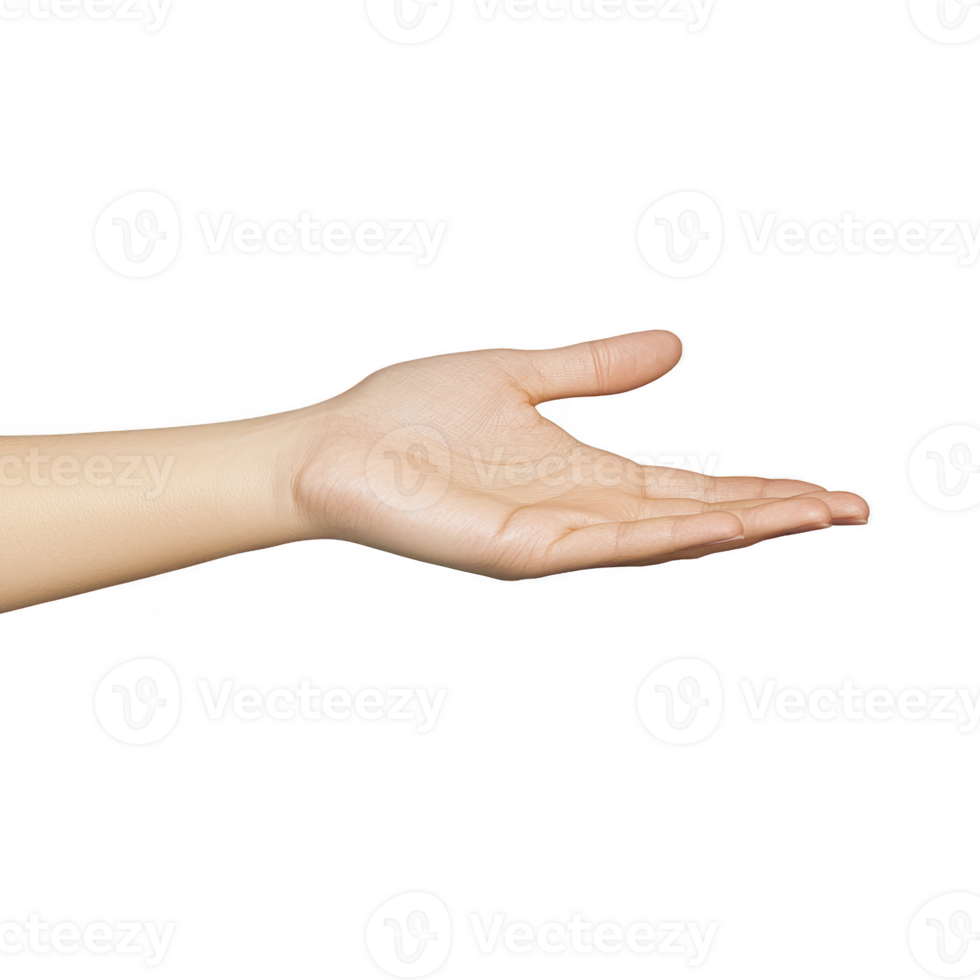 An open human hand is extended with palm facing up, suggesting gesture of offering or receiving. skin tone is light, and background is plain, emphasizing hand position and expression png