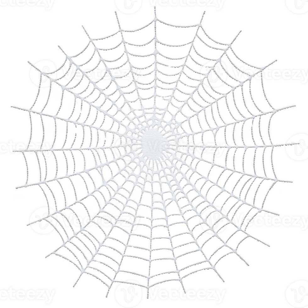 A detailed spider web with symmetrical pattern is set against transparency background, showcasing intricate design and delicate structure. web radial and spiral threads create mesmerizing geometric png
