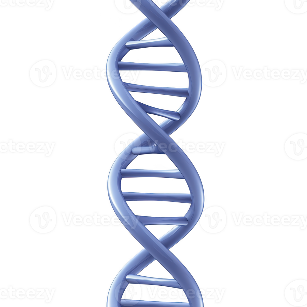 blue 3D model of DNA double helix structure, showcasing iconic twisted ladder shape. image highlights intricate design of genetic material, emphasizing its scientific significance png