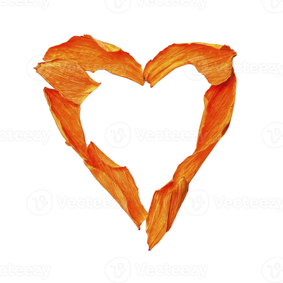 heart shape made from vibrant orange petals, symbolizing love and creativity, is set against plain background. petals texture adds natural and artistic touch png