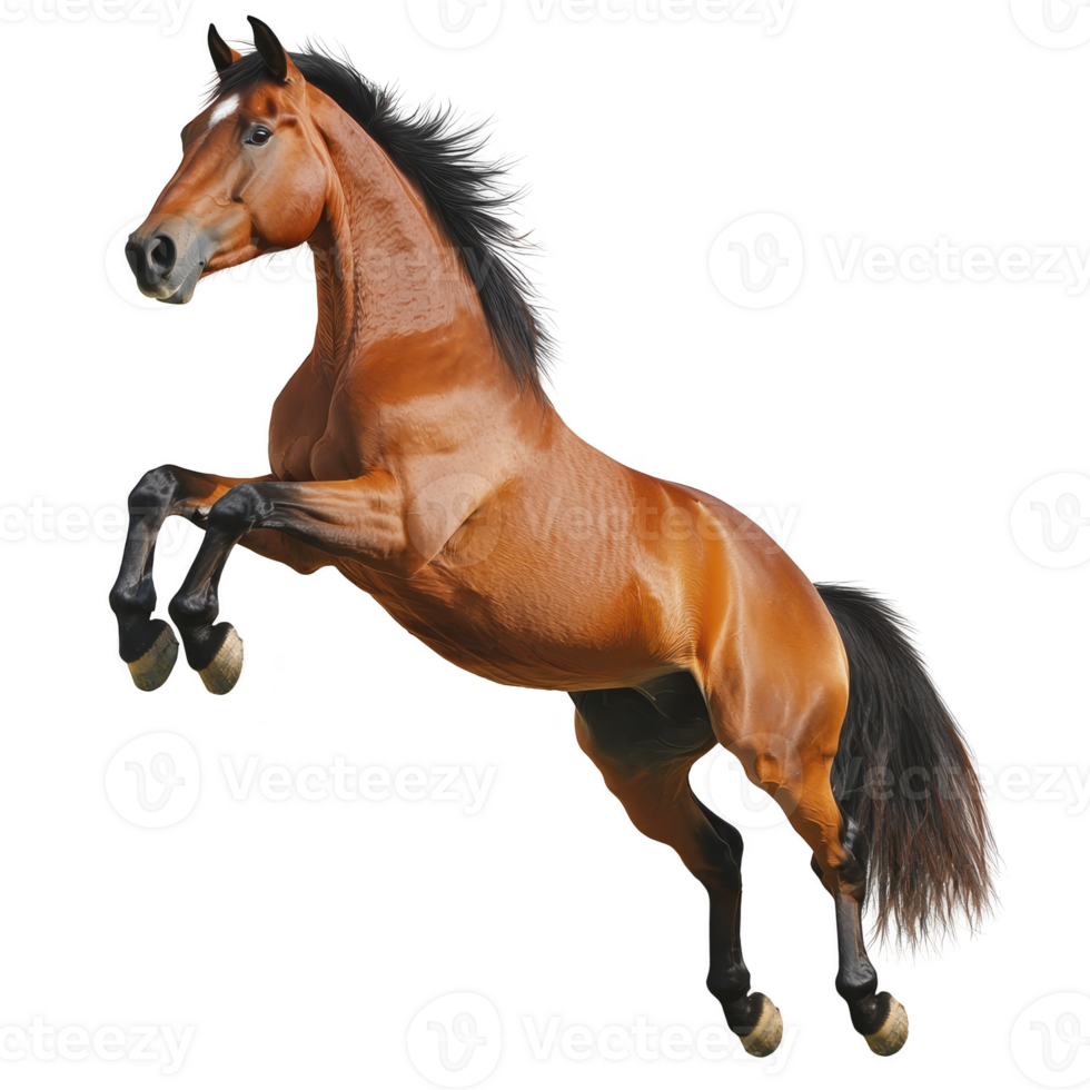 majestic brown horse rears up with strength and grace, showcasing its powerful muscles and flowing mane. dynamic pose captures horse energy and vitality against clear background png