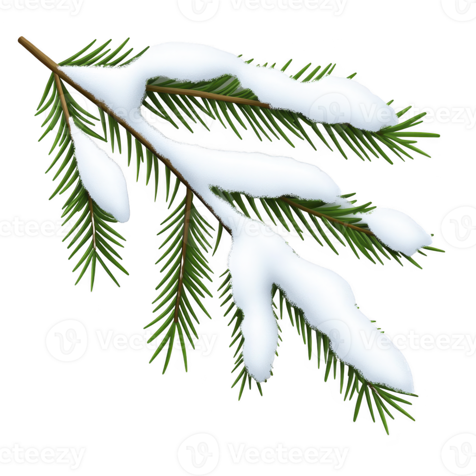 A snow covered evergreen branch with lush green needles creates serene winter scene, evoking sense of calm and tranquility png