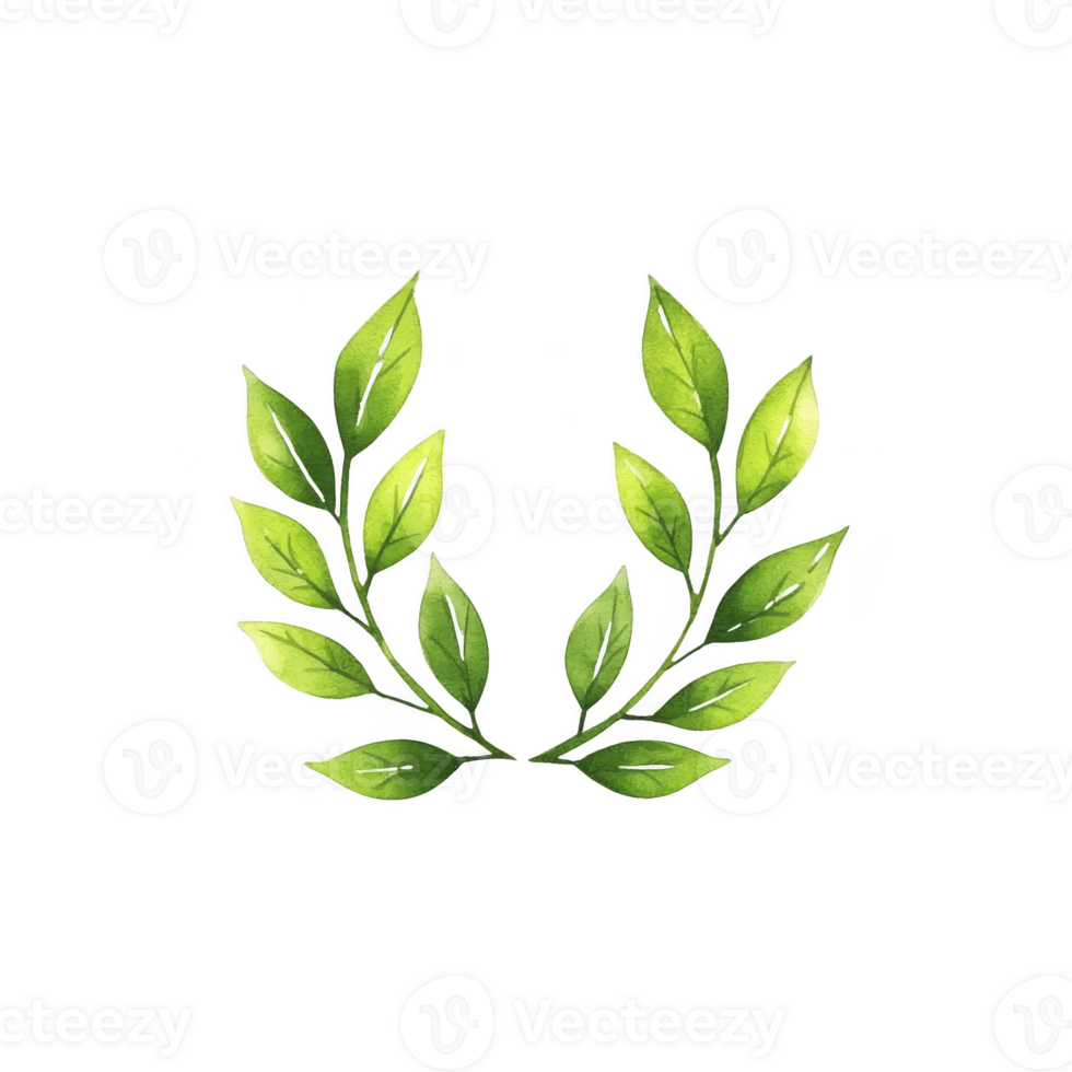 watercolor illustration of green laurel wreath with vibrant leaves, symbolizing victory and achievement. delicate brushstrokes and natural colors create sense of elegance and celebration png