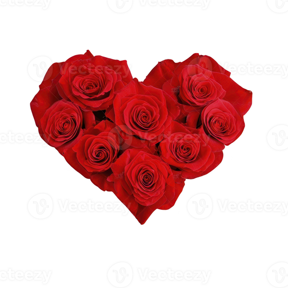 heart shaped arrangement of vibrant red roses symbolizes love and passion, perfect for romantic occasions or expressing deep emotions. lush petals create striking visual impact png