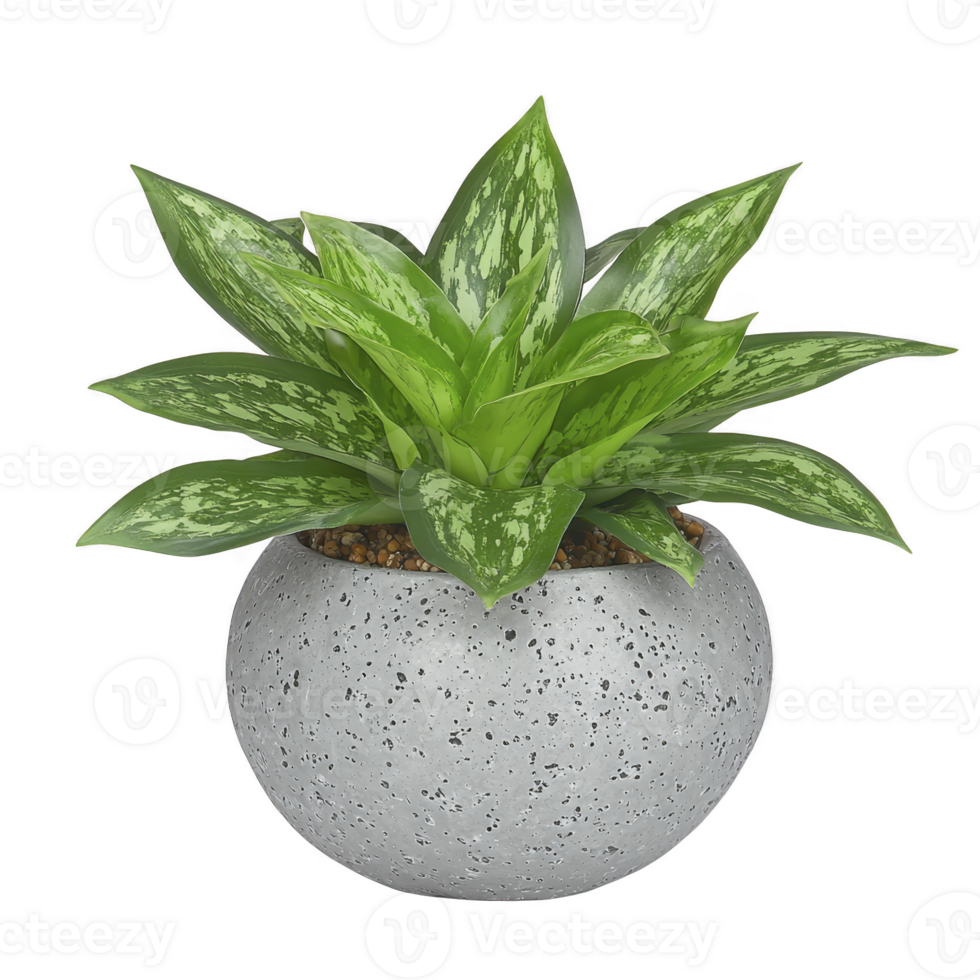 vibrant green plant with variegated leaves sits in round, textured concrete pot, creating fresh and modern look. plant lush foliage adds touch of nature to any space png