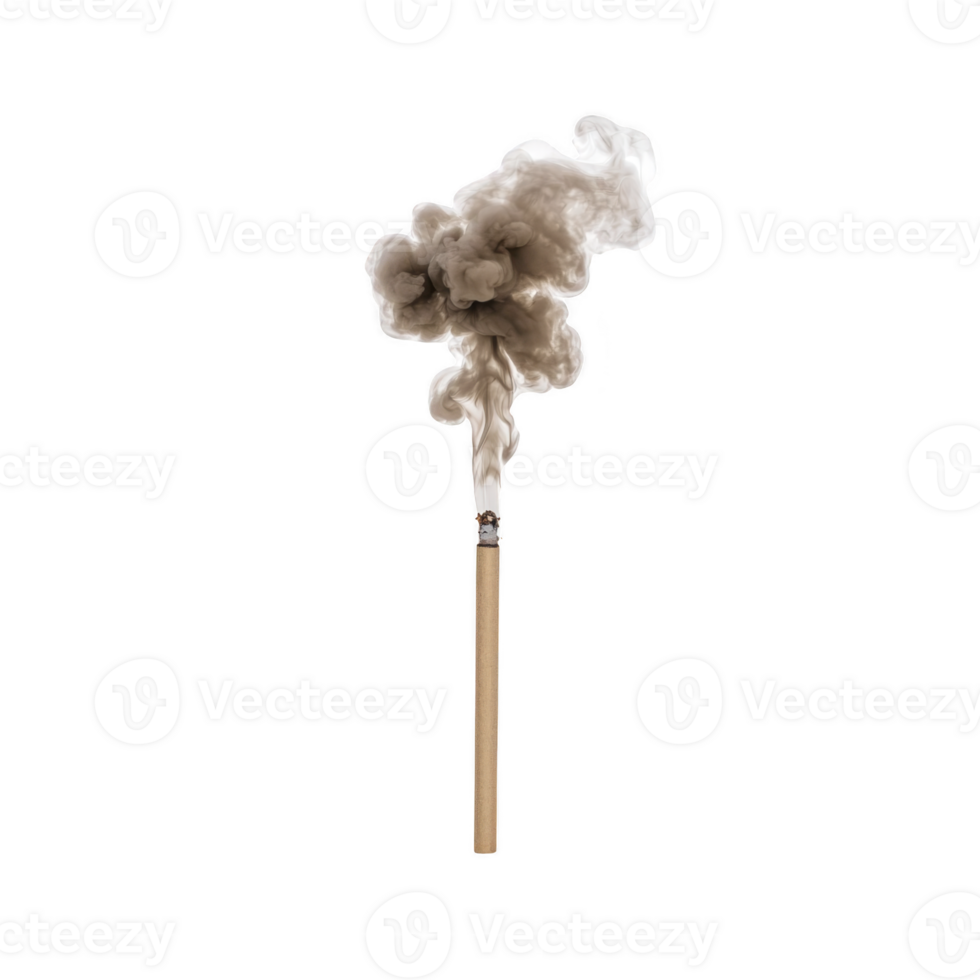 single burning incense stick releases cloud of aromatic smoke, creating calming and meditative atmosphere. smoke swirls gracefully, adding sense of tranquility to scene png