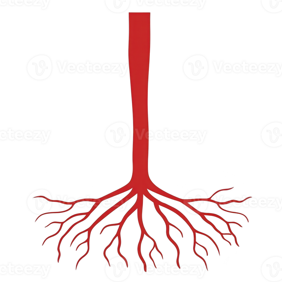 stylized red tree with long trunk and branching roots, symbolizing growth and connection. design is simple yet striking, evoking sense of nature and vitality png