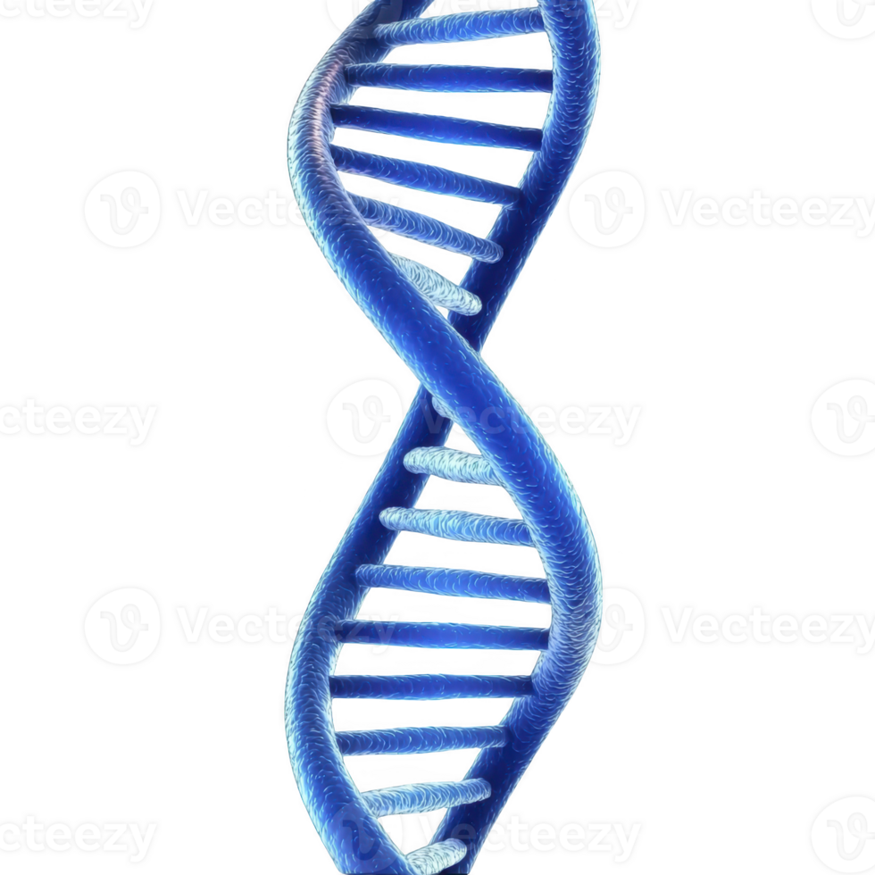 3D illustration of blue DNA double helix structure, showcasing intricate design of genetic material. image highlights twisting ladder like appearance of DNA strands png