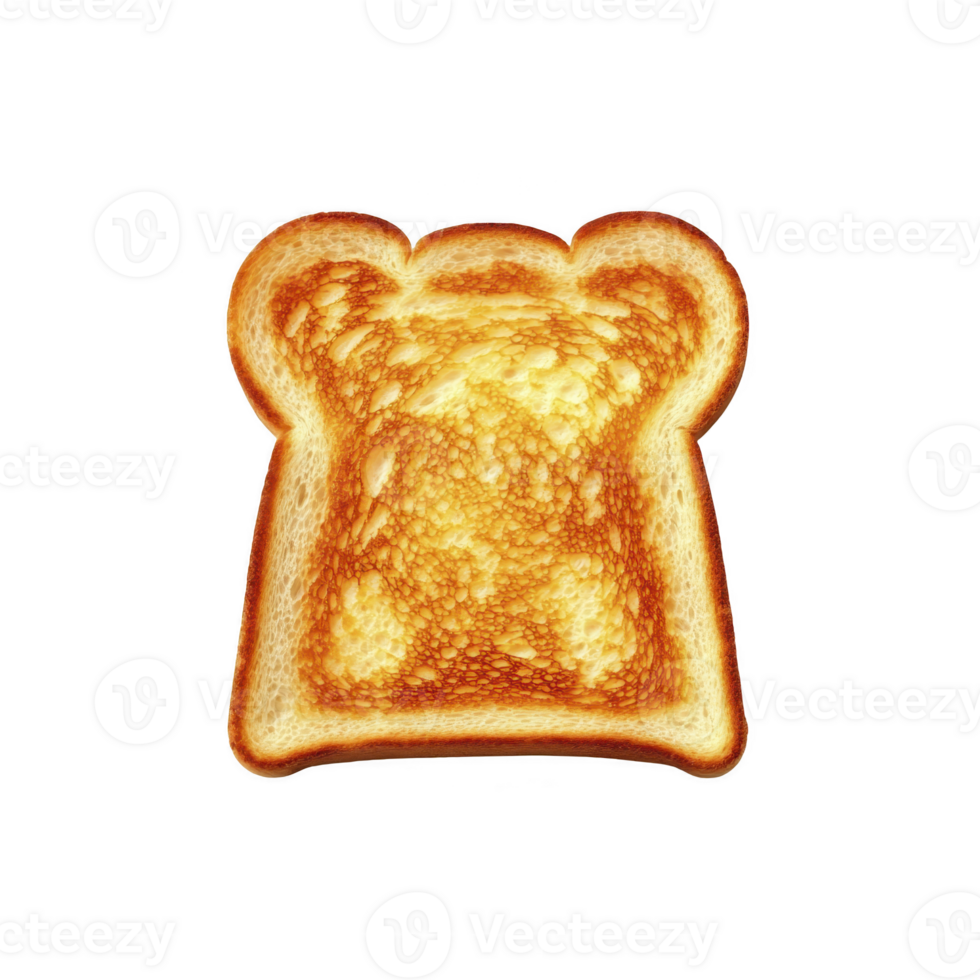 slice of perfectly toasted bread with golden brown crust and warm, inviting texture, ideal for breakfast or snack png