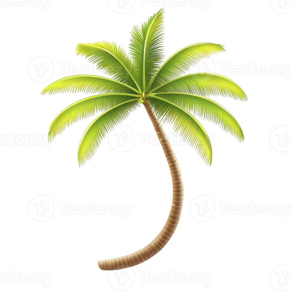 tall, vibrant green palm tree with curved trunk and lush fronds evokes tropical paradise. detailed illustration captures essence of serene beach setting png