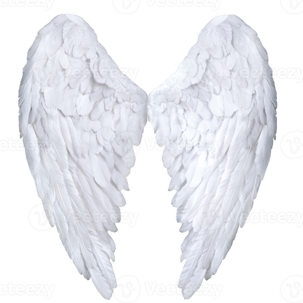 pair of large, white angel wings with detailed feathers, symbolizing purity and grace, isolated on transparent background. wings are symmetrical and evoke sense of serenity png