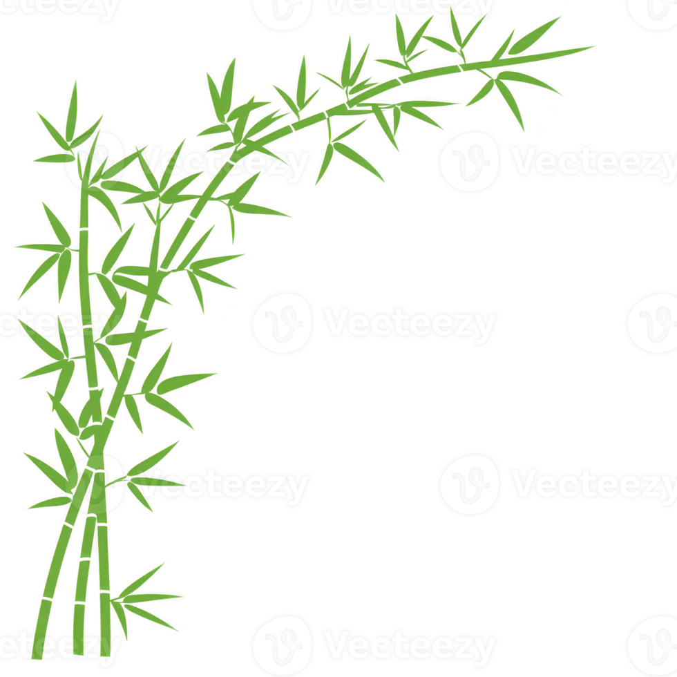 cluster of green bamboo stalks with leaves is arranged in graceful, arching pattern against transparent background, evoking sense of tranquility and natural beauty png
