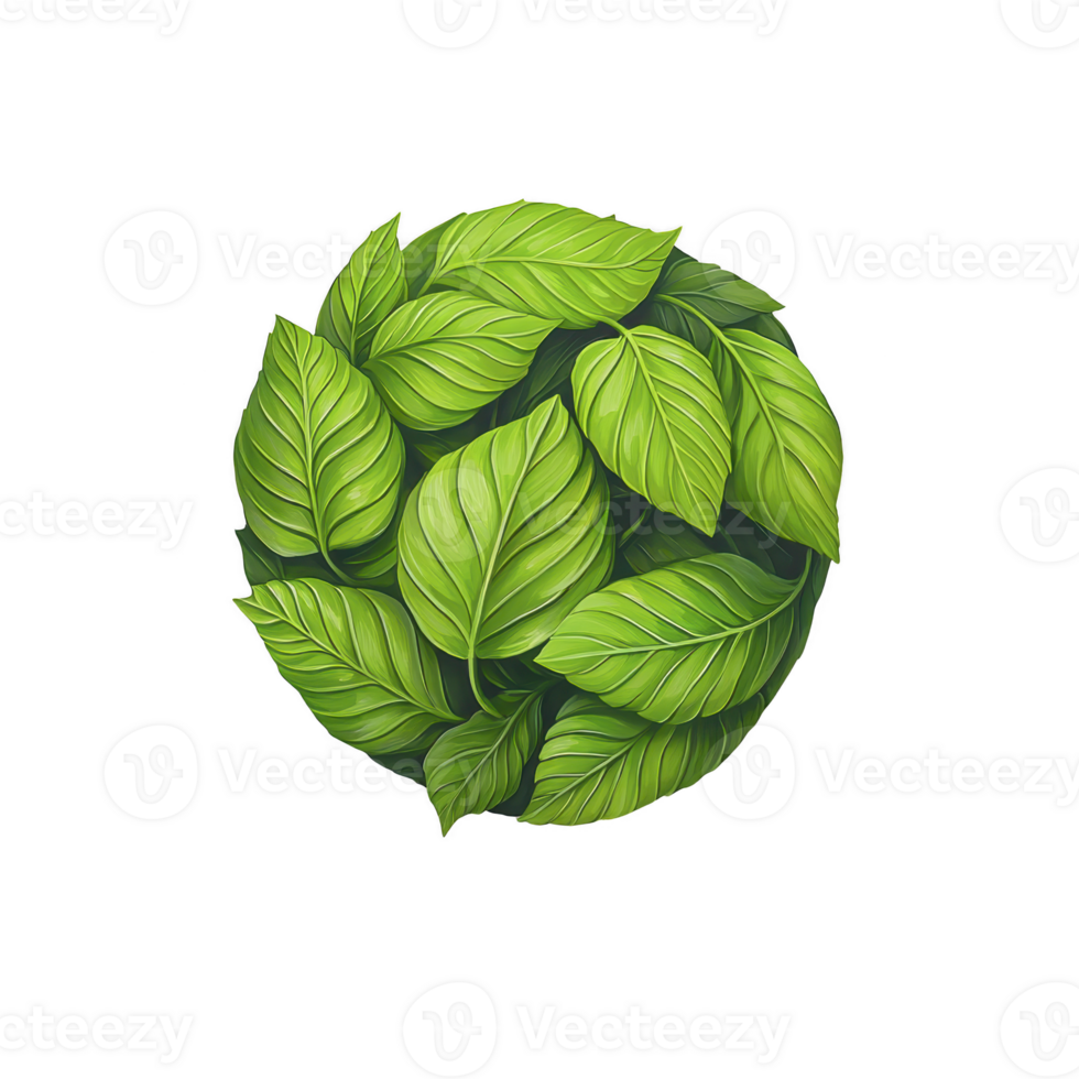vibrant collection of green leaves forms circular pattern, showcasing nature beauty and freshness. lush foliage creates sense of tranquility and harmony png