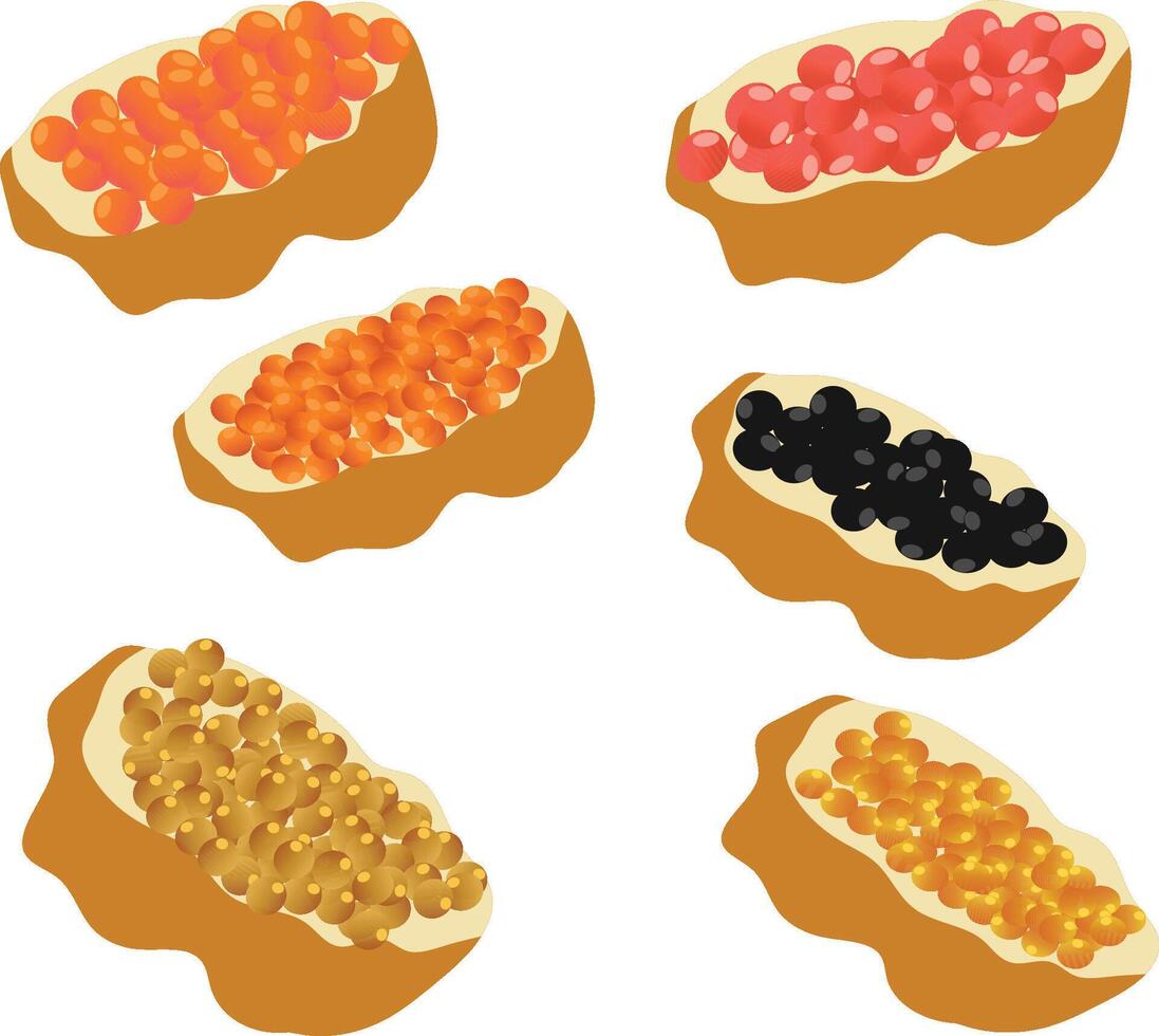 Caviar on bread vector