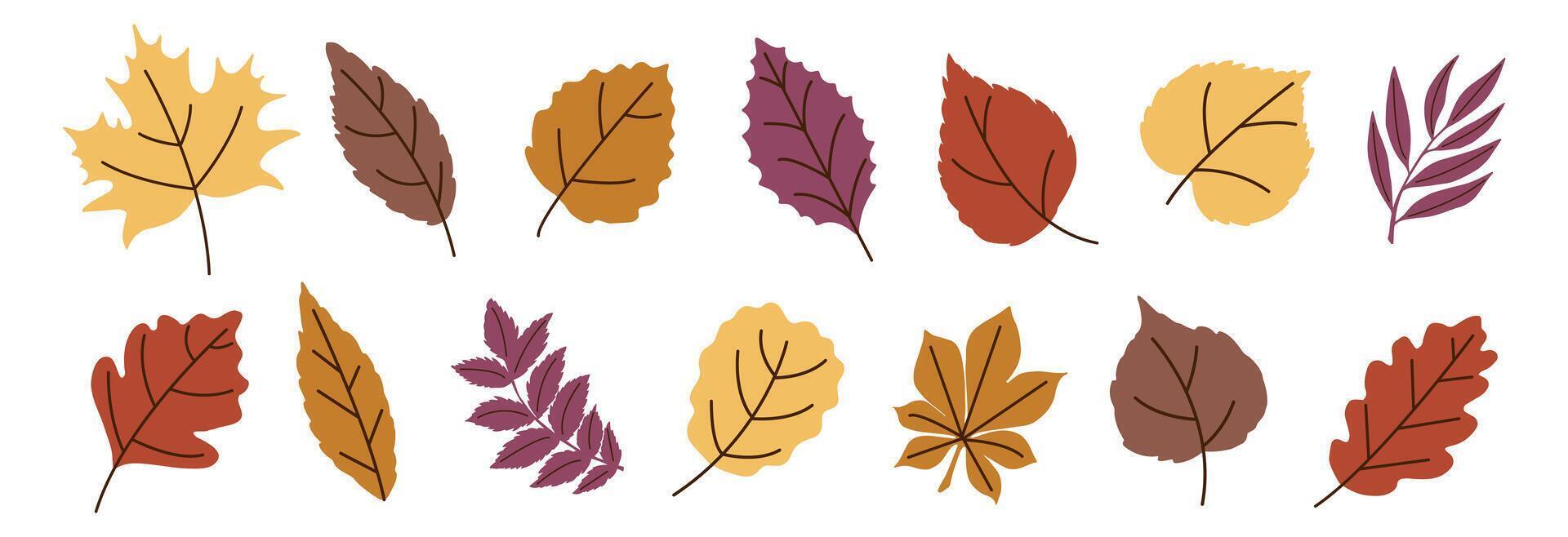 Autumn Leaves Flat Trendy Set. Fall Leaf Rowan, Maple, Oak, Birch, Chestnut, Willow, Beech, Hawthorn, Poplar, Elm, Aspen, Linden, Alder, Ash. Modern Fall Forest Branches, Foliage. Botanical Floral Set vector