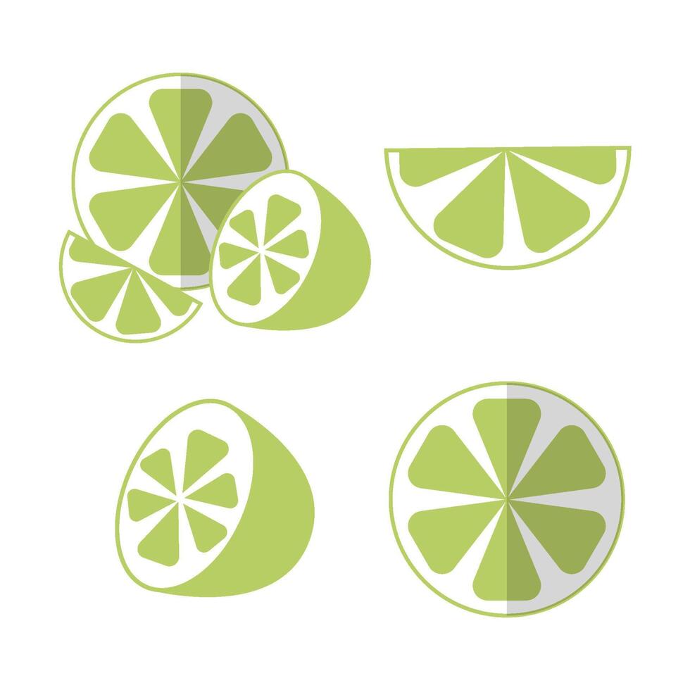 Lime set halved and sliced pieces in flat style with shadow vector