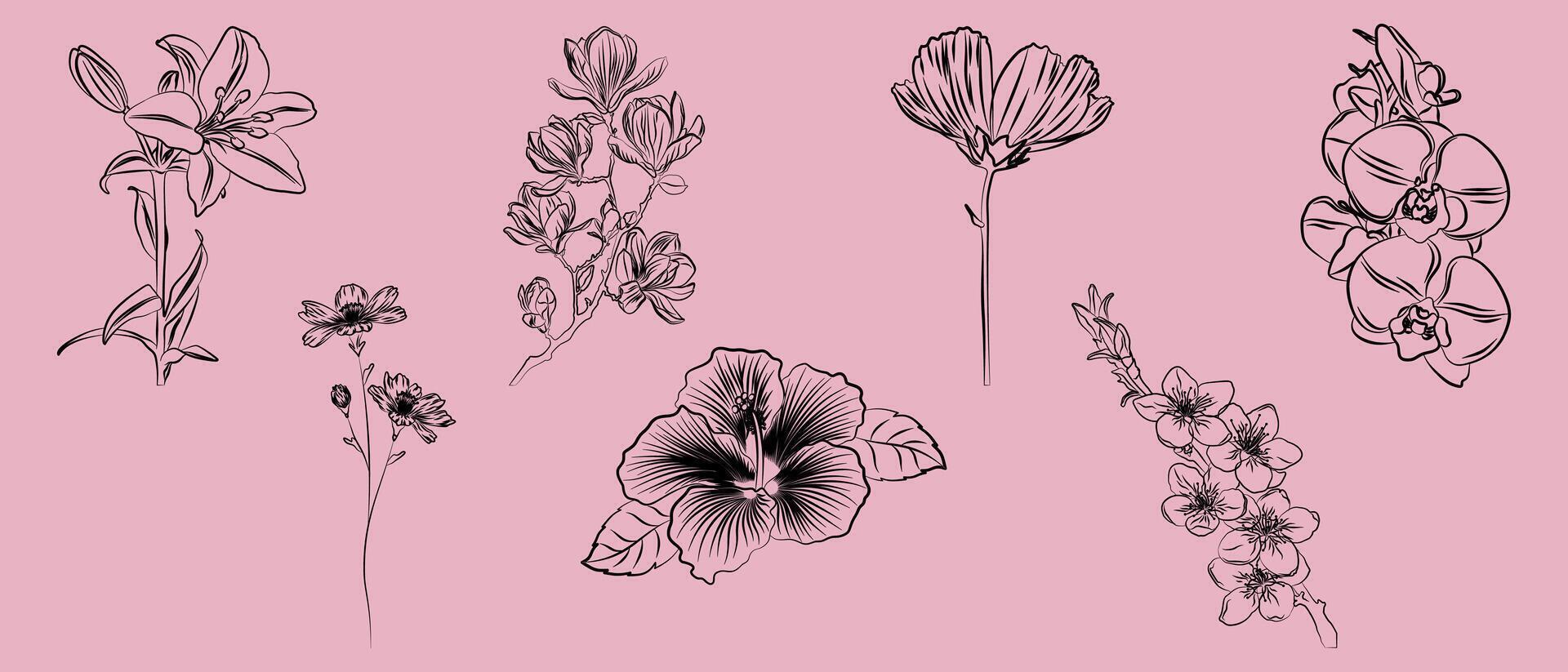Elegant floral sketches on background. Illustrated outlined orchid flower line art illustration graphic element for various design and coloring. vector