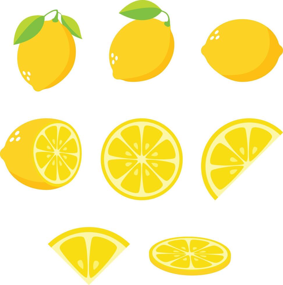 Set of fresh organic whole, half and cut slice of lemon fruits. Summer lemonade fruits for healthy lifestyle. vector