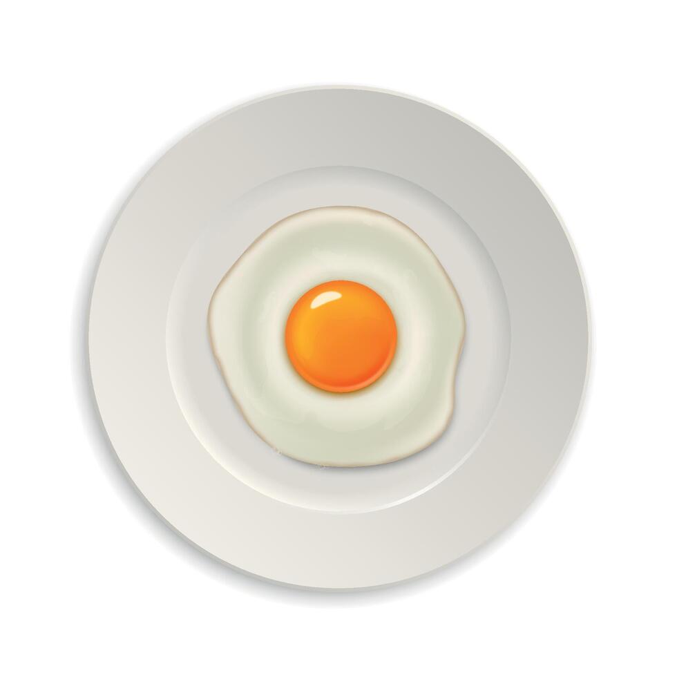 Realistic fried egg icon on a plate. Design template vector