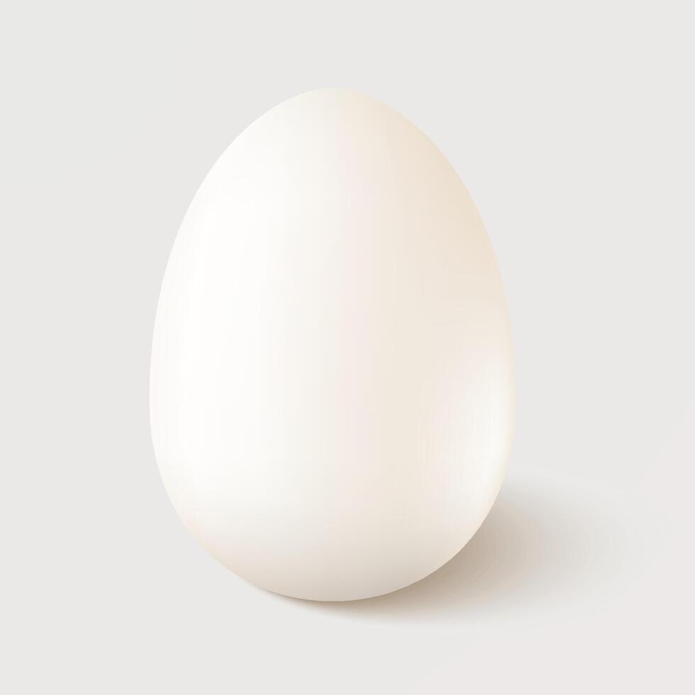 Realistic white single chicken egg isolated on white background. Design template. vector