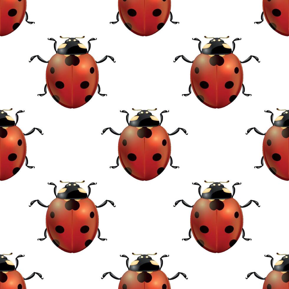 spring seamless pattern with realistic ladybugs vector