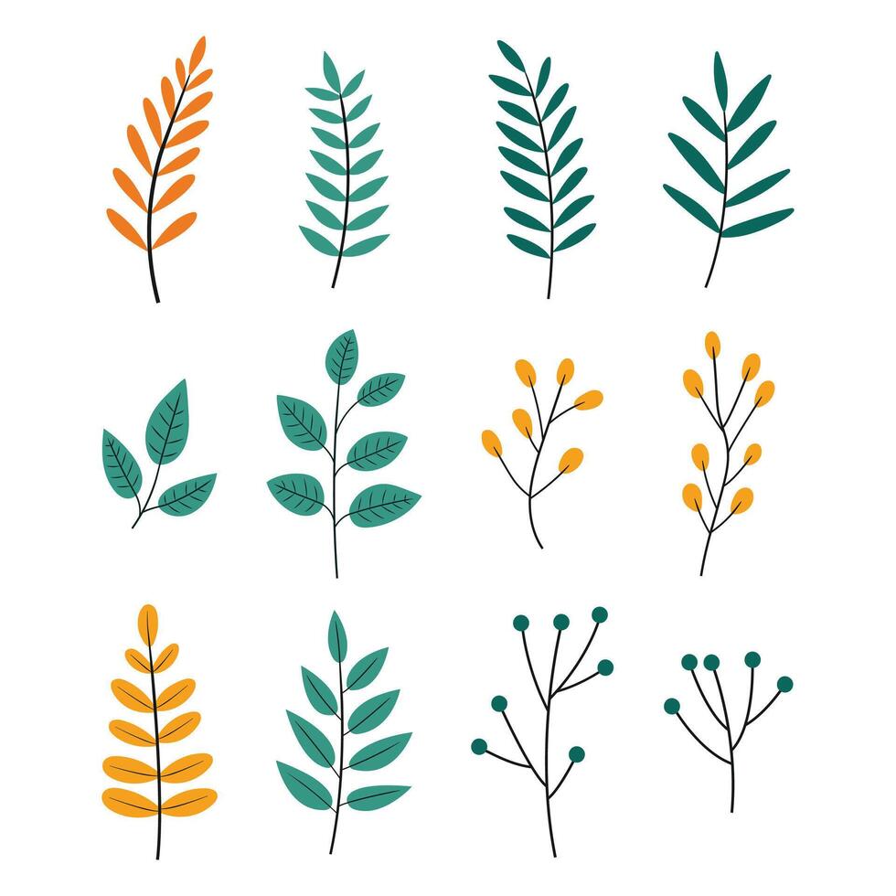 Floral Elements Collection vector