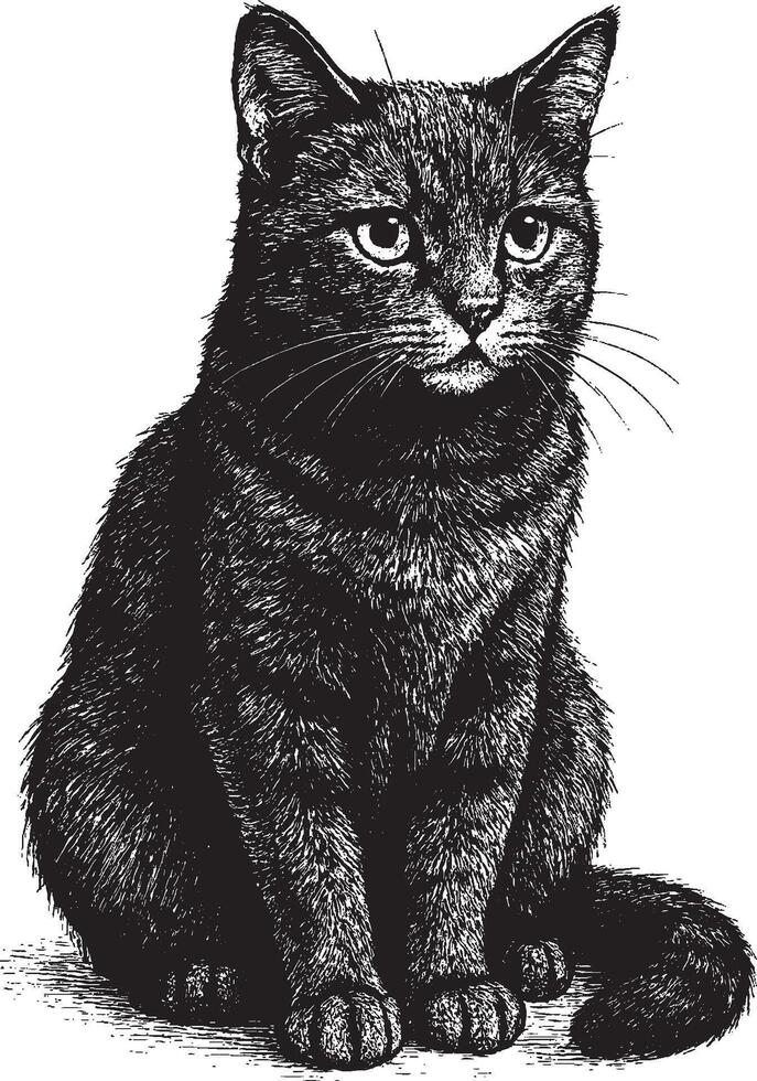 Detailed Hand-Drawn Portrait of a Sitting Black Cat vector