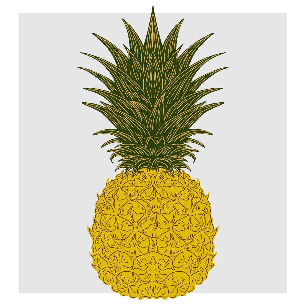a pineapple on a white background vector