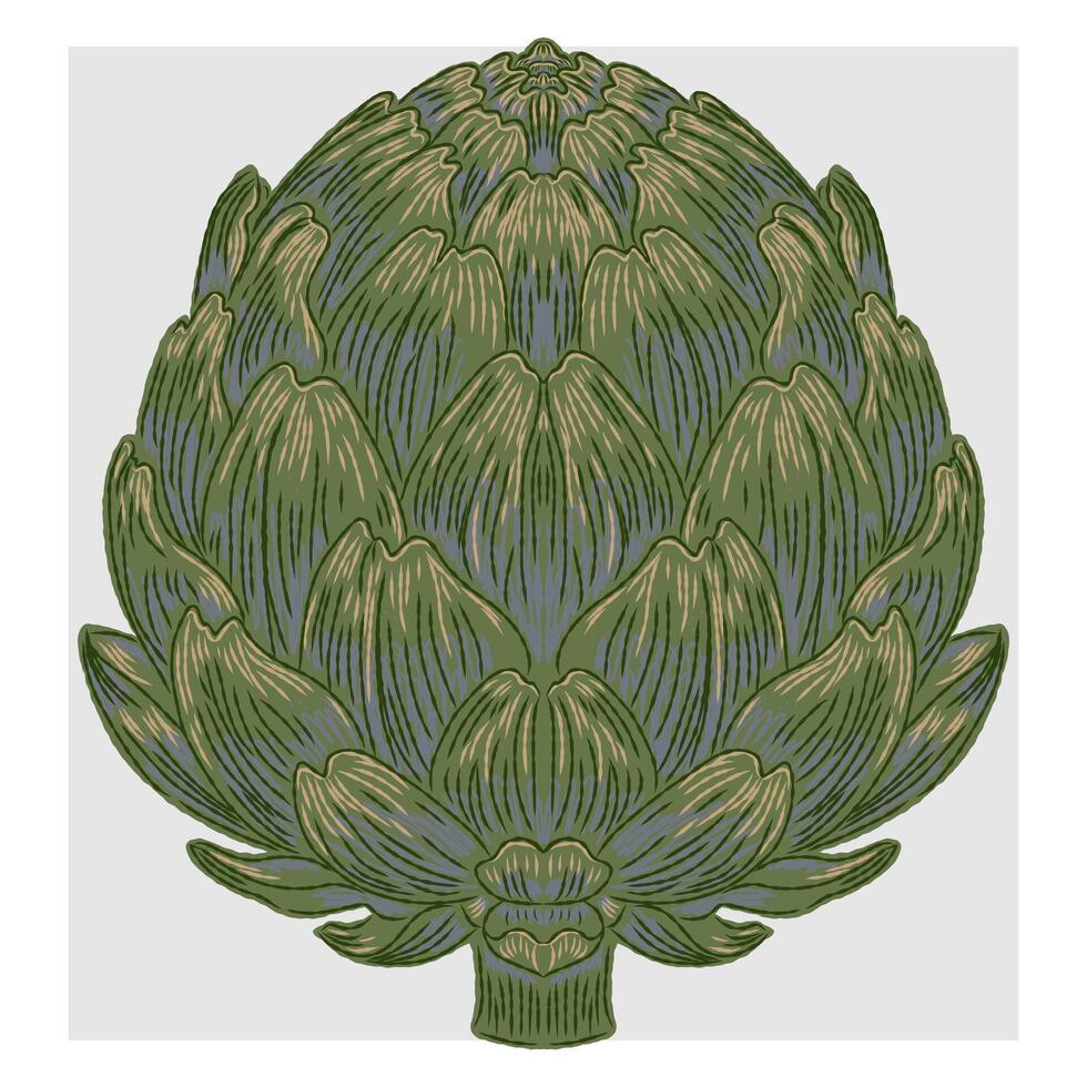 an illustration of an artichoke vector