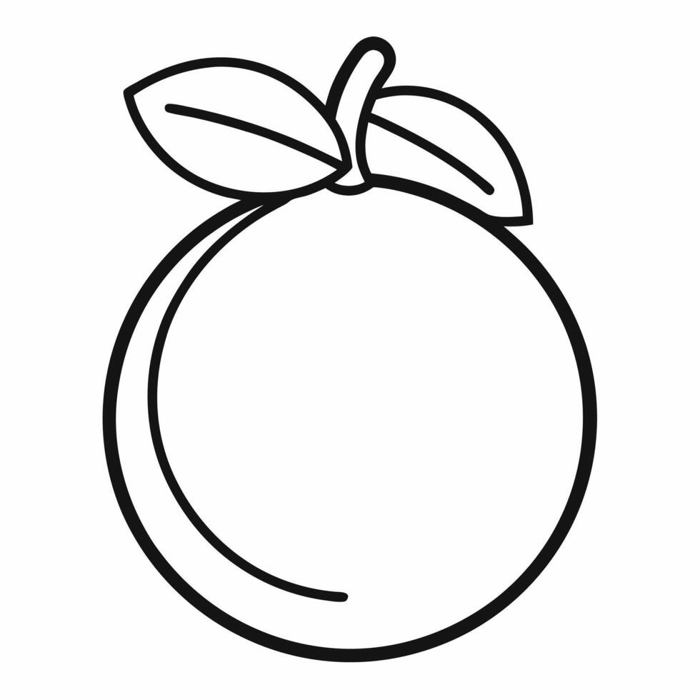 An orange is shown in a line drawing vector